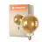 Ledvance Smart+ Wifi E27 G125 8W 600lm - 822-850 Tunable White | Dimmable - Replaces 60W